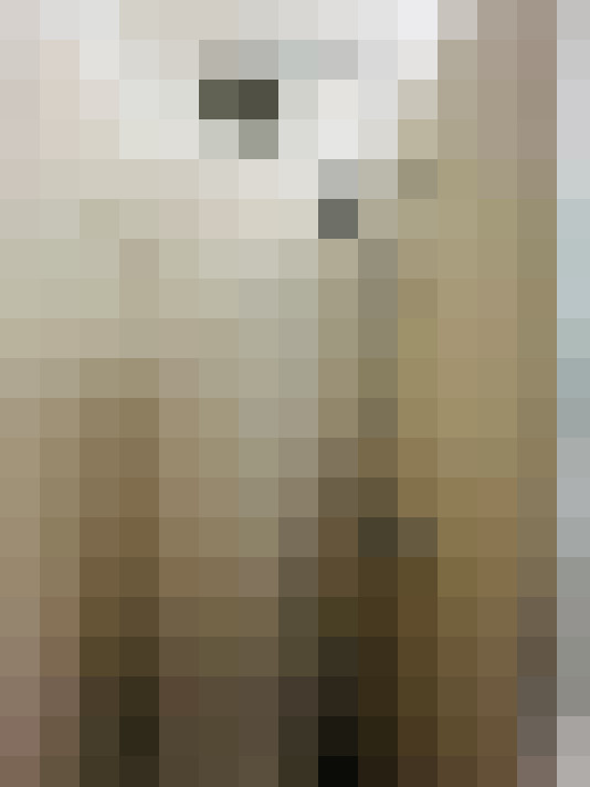 Image 23