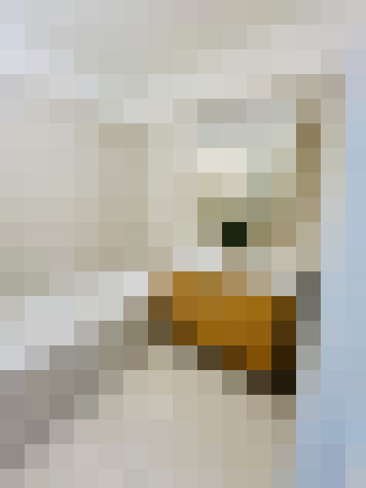 Image 20