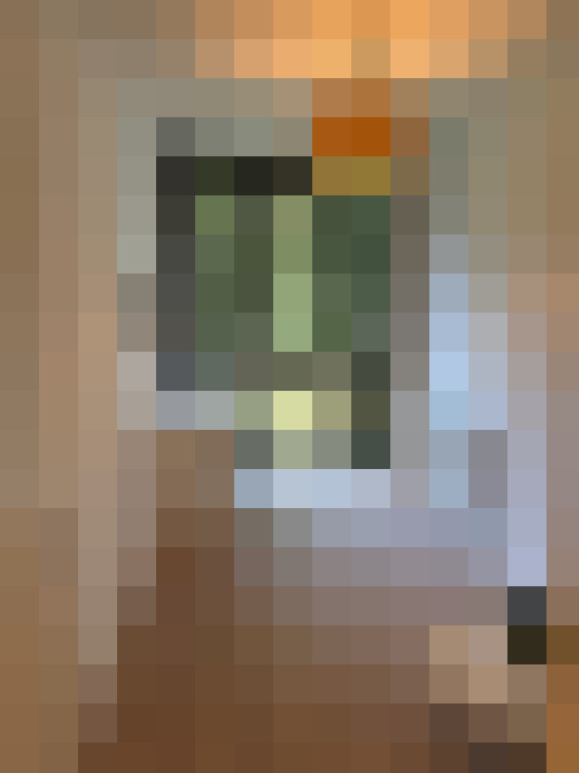 Image 17