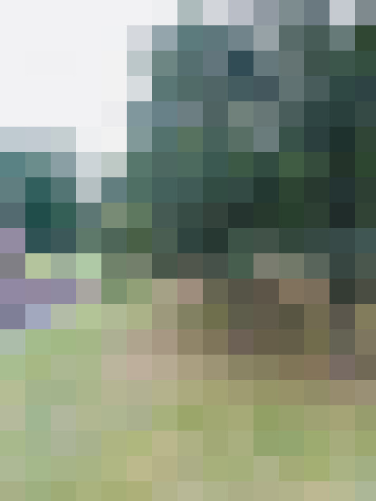 Image 24