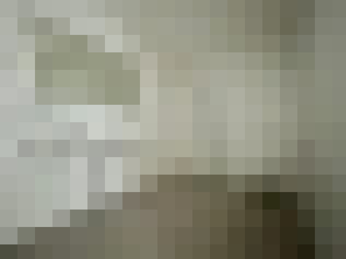 Image 13