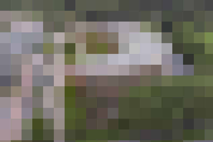 Image 25