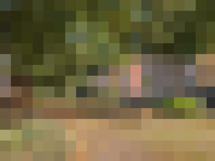Image 31