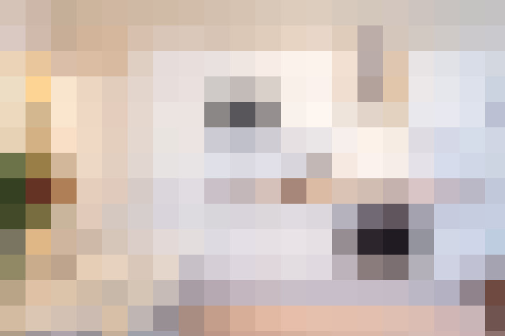 Image 20