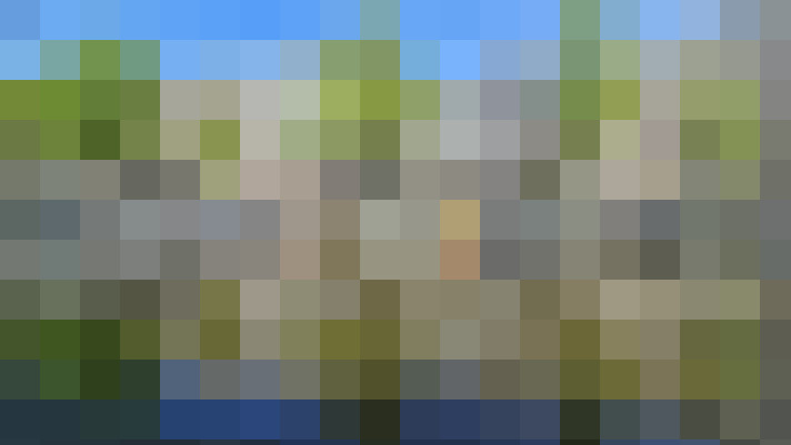 Image 35