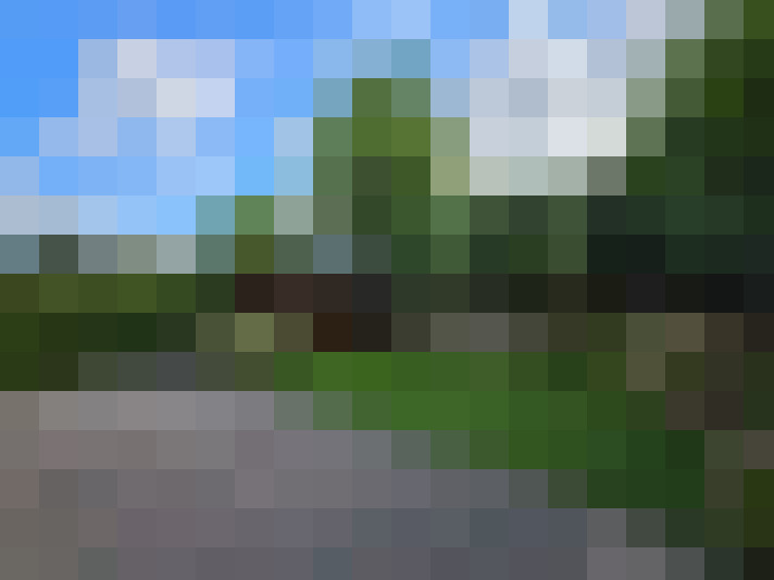 Image 20