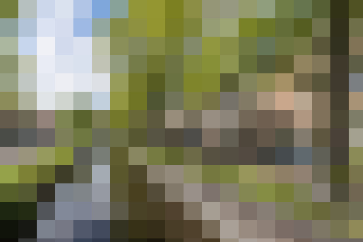 Image 28