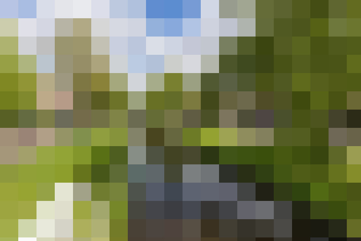 Image 29