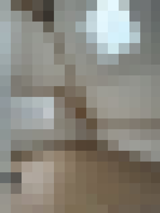 Image 13