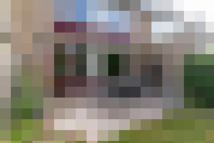 Image 14