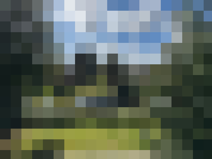Image 32