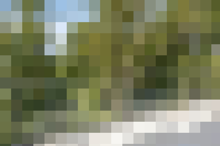 Image 20