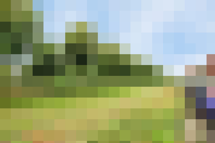 Image 32