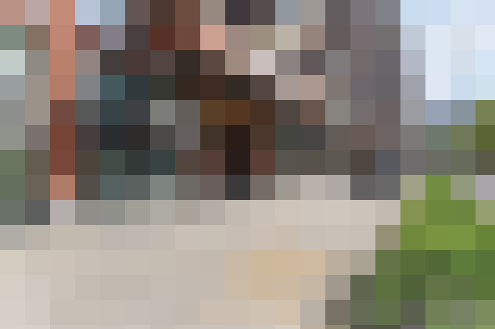 Image 22