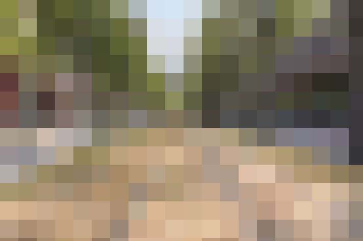 Image 24