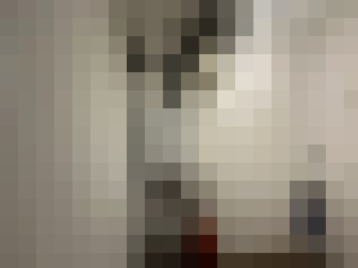 Image 29