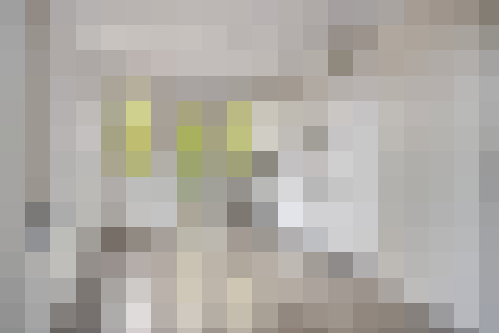 Image 25