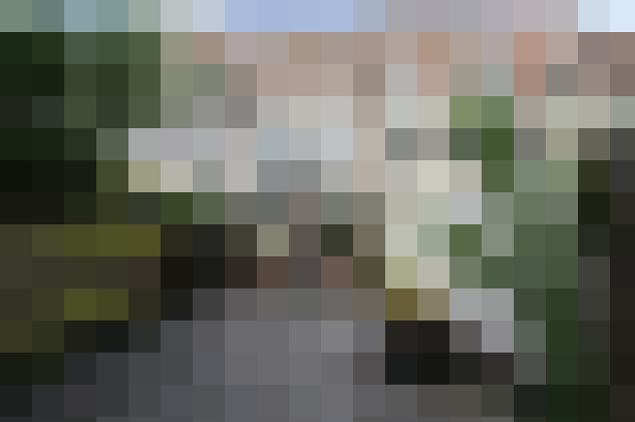 Image 16