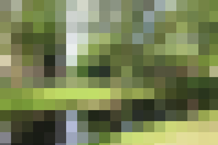 Image 25