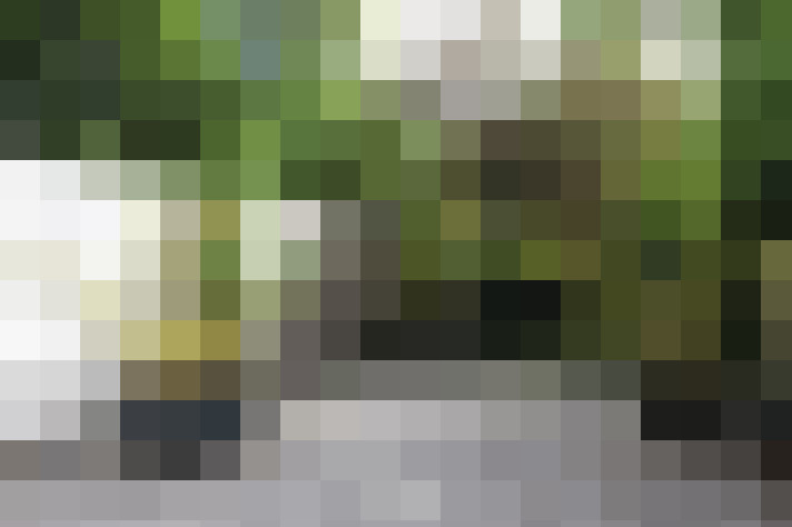 Image 17