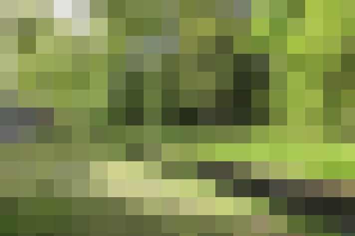 Image 26