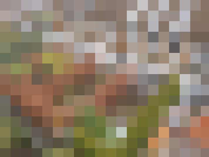 Image 16
