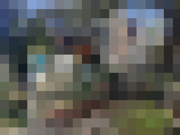 Image 25