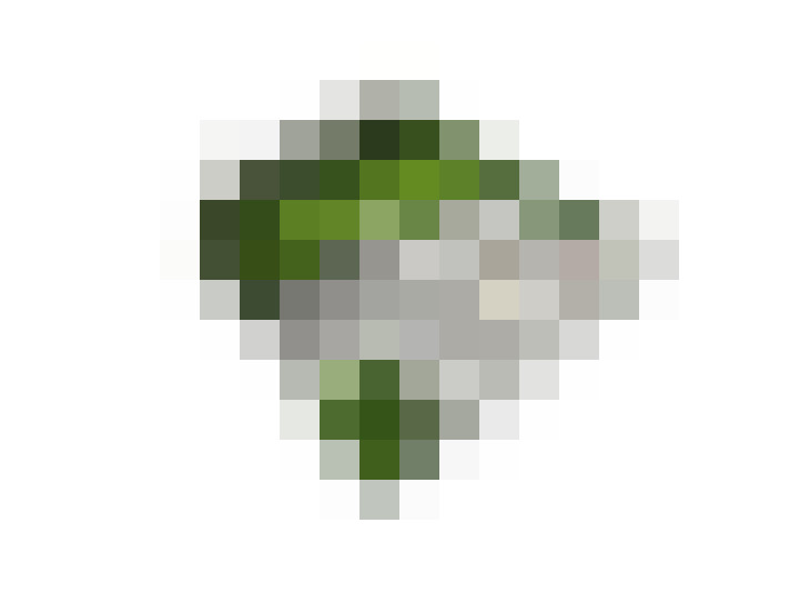 Image 24