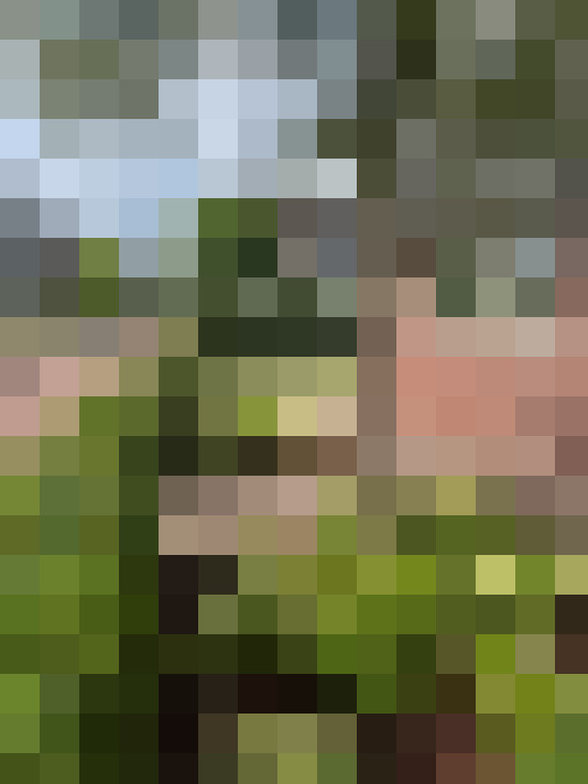 Image 20