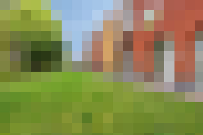 Image 33