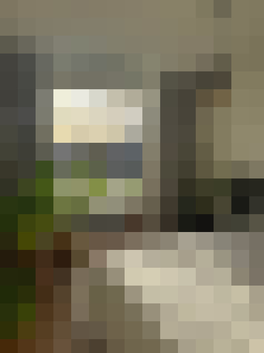Image 13