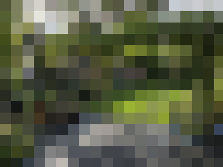 Image 35