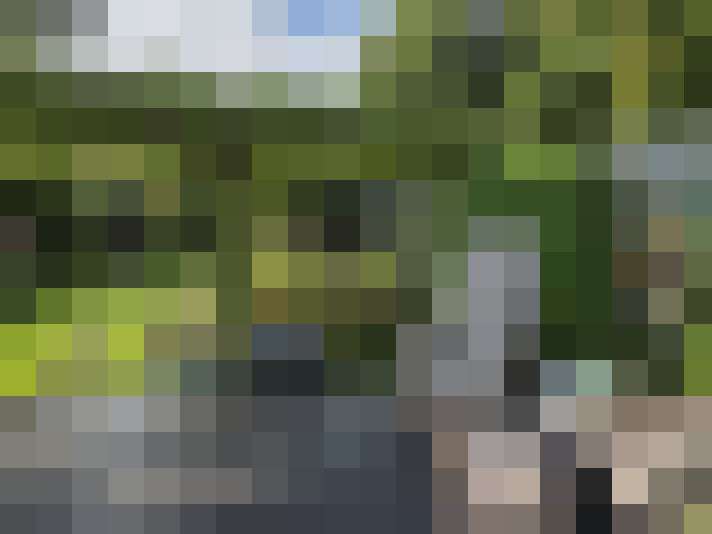 Image 33