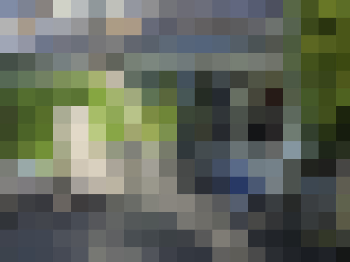 Image 34