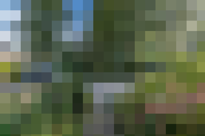 Image 29
