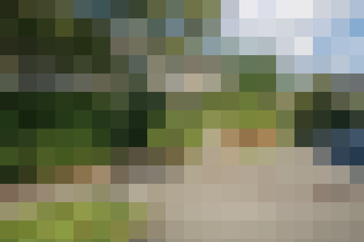Image 36