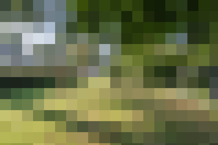 Image 40