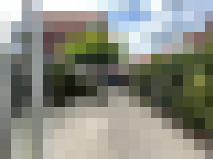 Image 25