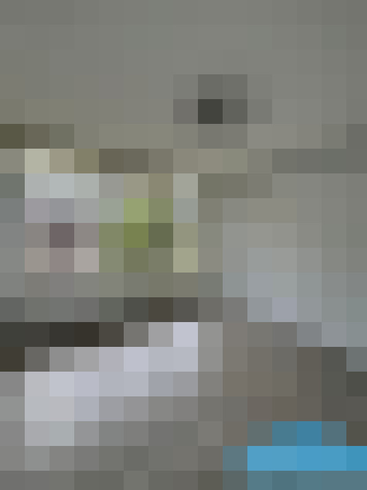 Image 17