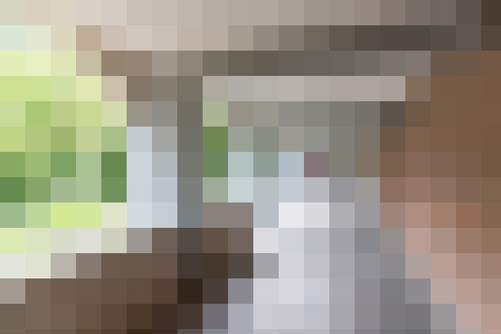 Image 20