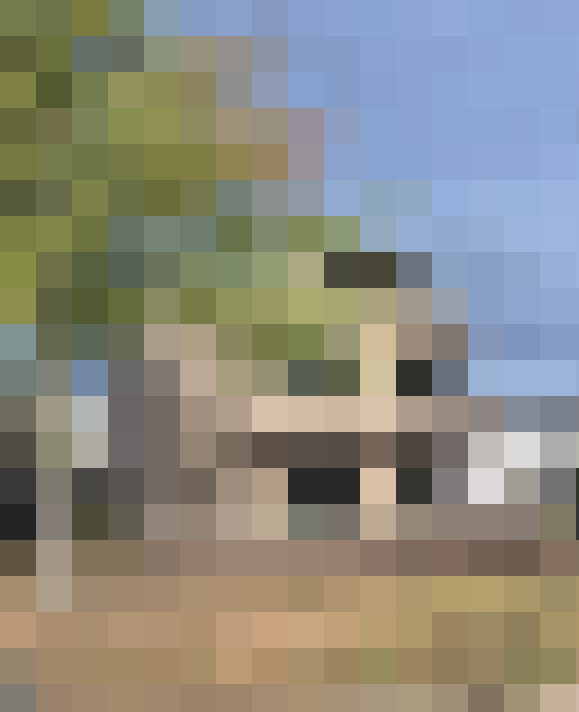 Image 43