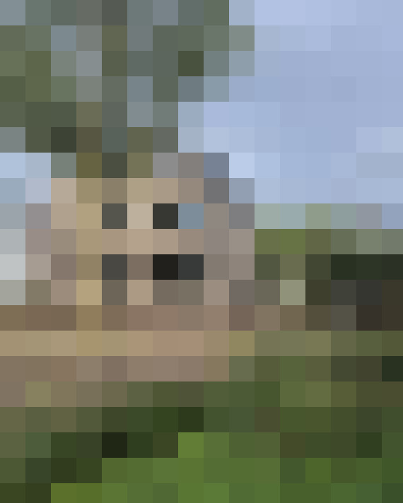 Image 44