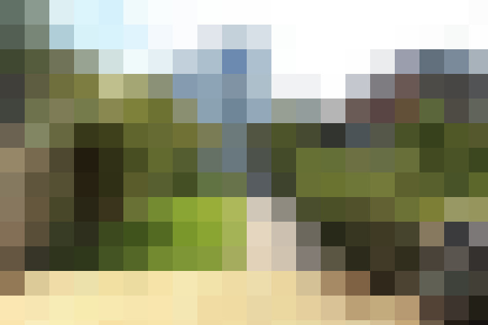 Image 23