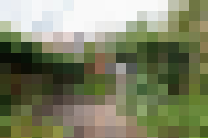 Image 26