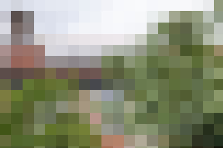 Image 29