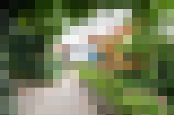 Image 27