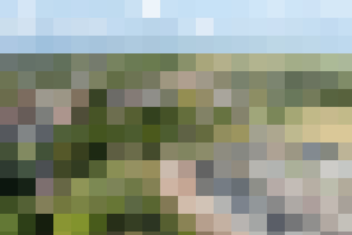 Image 28