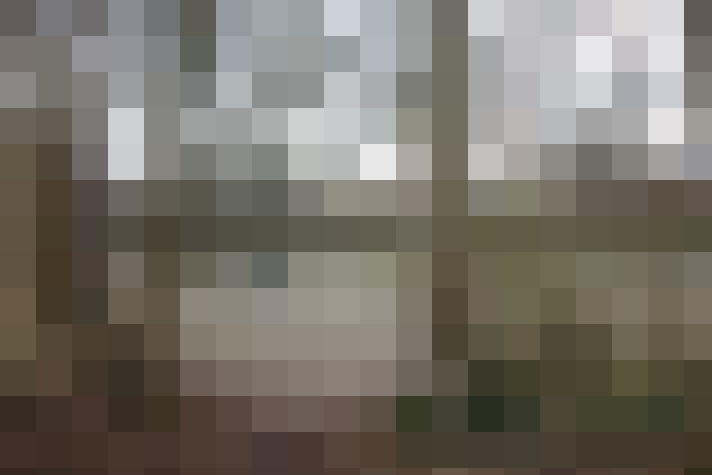 Image 22