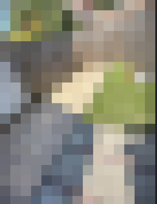 Image 17