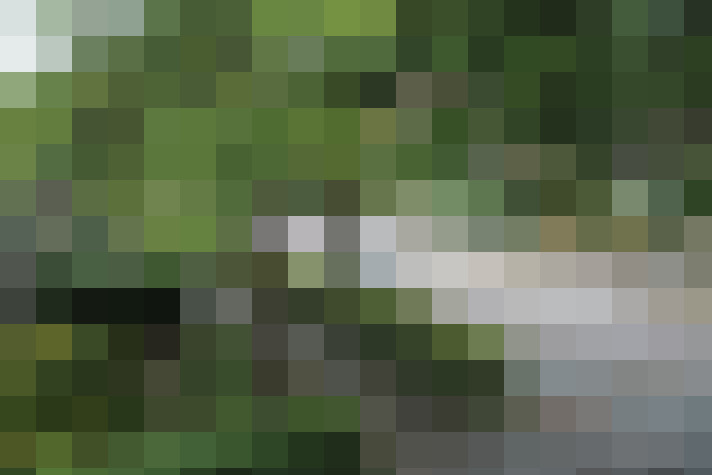 Image 23